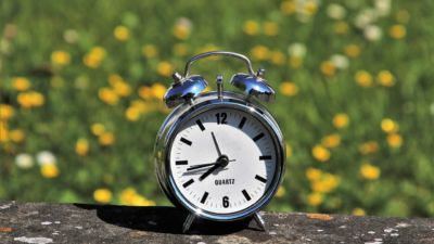 En väckarklocka står på en sten. Bakom syns en äng fylld med maskrosor. Sommarsolen lyser.