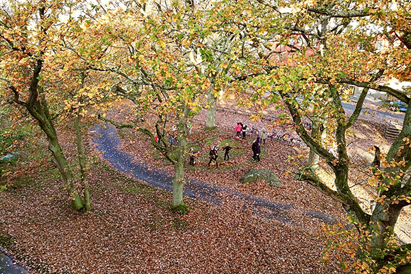 Fredssymbol gjord av bortkastade löv och skolbarn som leker.