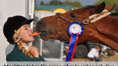 Morötter är bra för synen