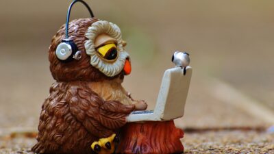 En uggla som sitter vid en dator