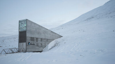 Musik ska sparas på Svalbard.